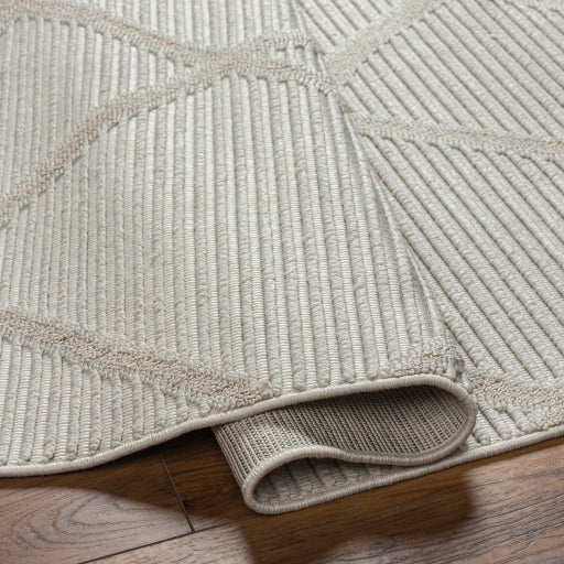 surya finland fnd 2309 cream rug