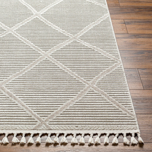 surya finland fnd 2309 cream rug