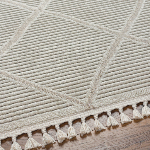 surya finland fnd 2309 cream rug