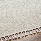 surya finland fnd 2310 cream rug