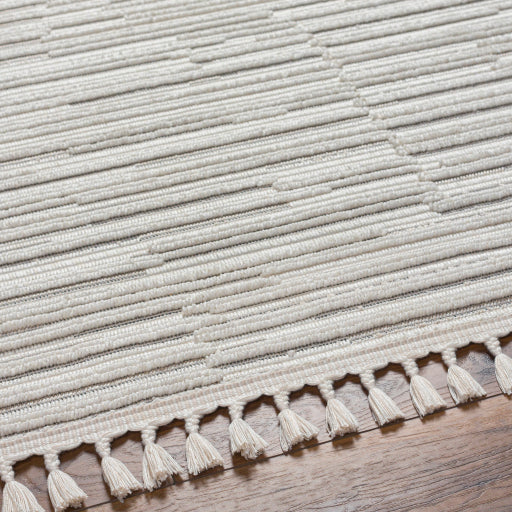 surya finland fnd 2311 cream rug