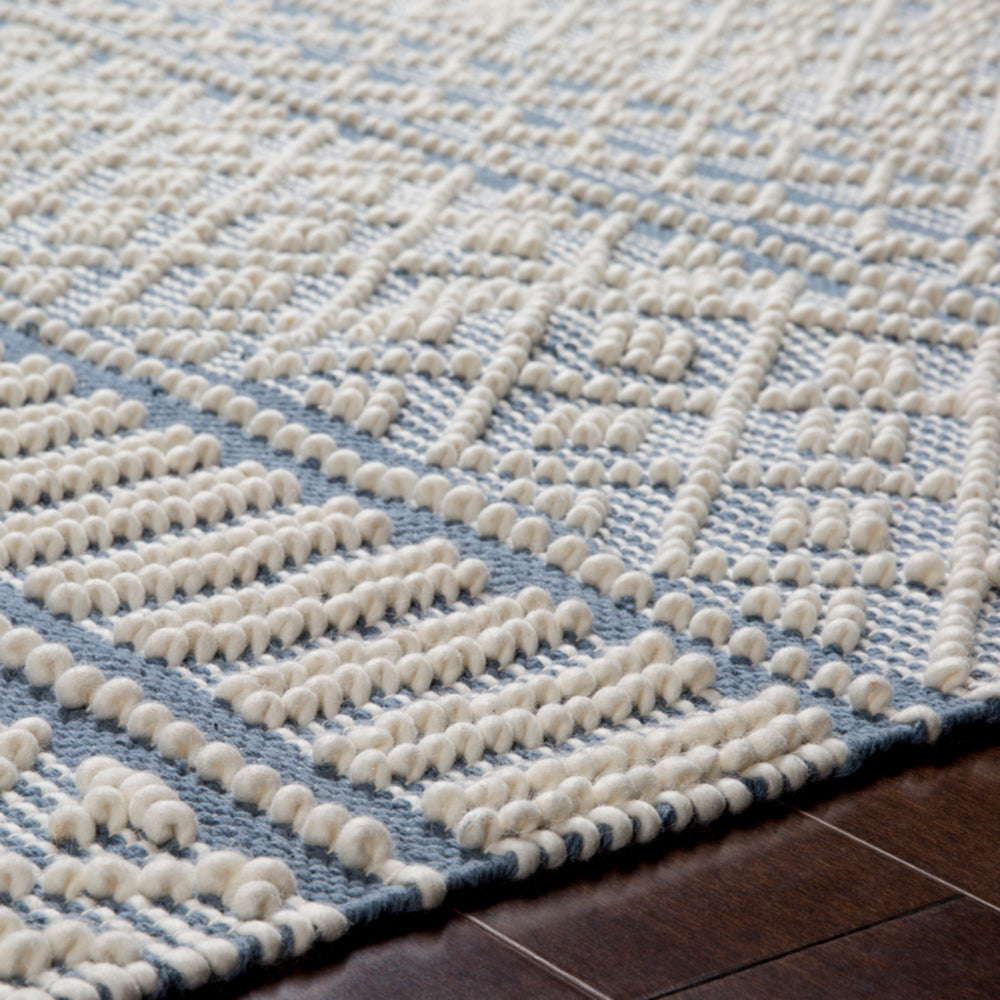 Surya Closeout Farmhouse Tassels FTS-2301 Denim Rug