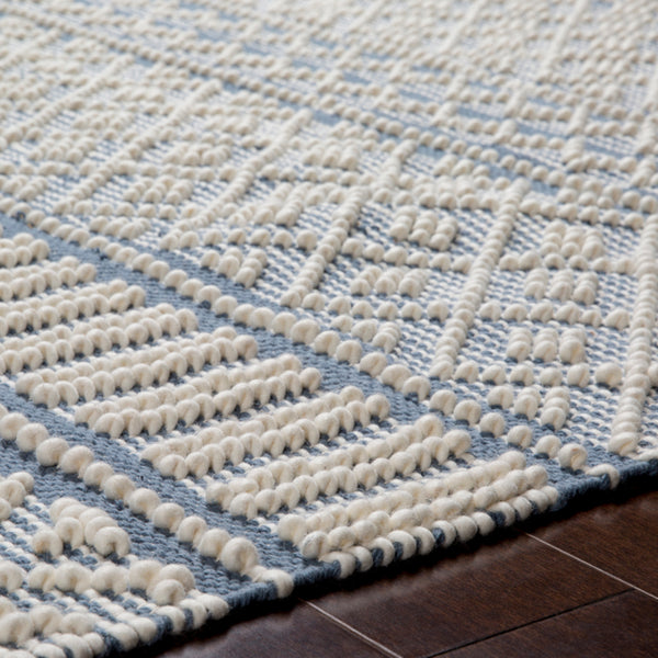 Surya Closeout Farmhouse Tassels FTS-2301 Denim Rug