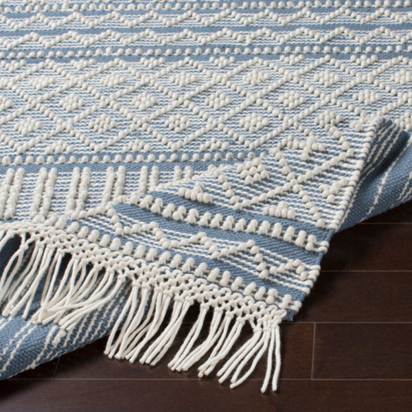 Surya Closeout Farmhouse Tassels FTS-2301 Denim Rug