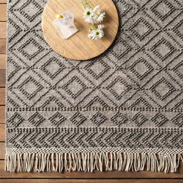 Surya Closeout Farmhouse Tassels FTS-2302 Black Rug