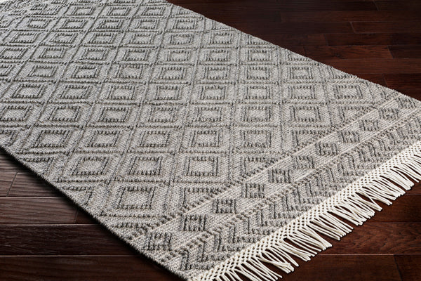 Surya Closeout Farmhouse Tassels FTS-2302 Black Rug