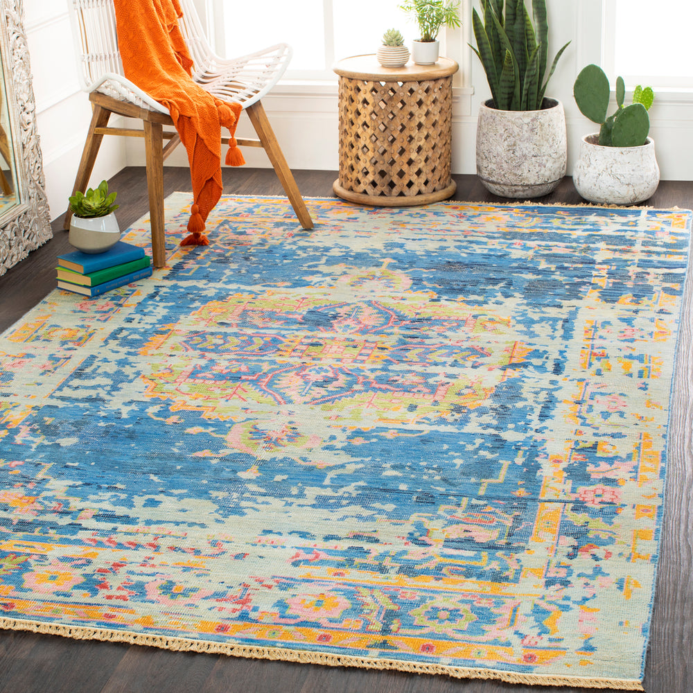Surya Closeout Festival FVL-1007 Denim Rug