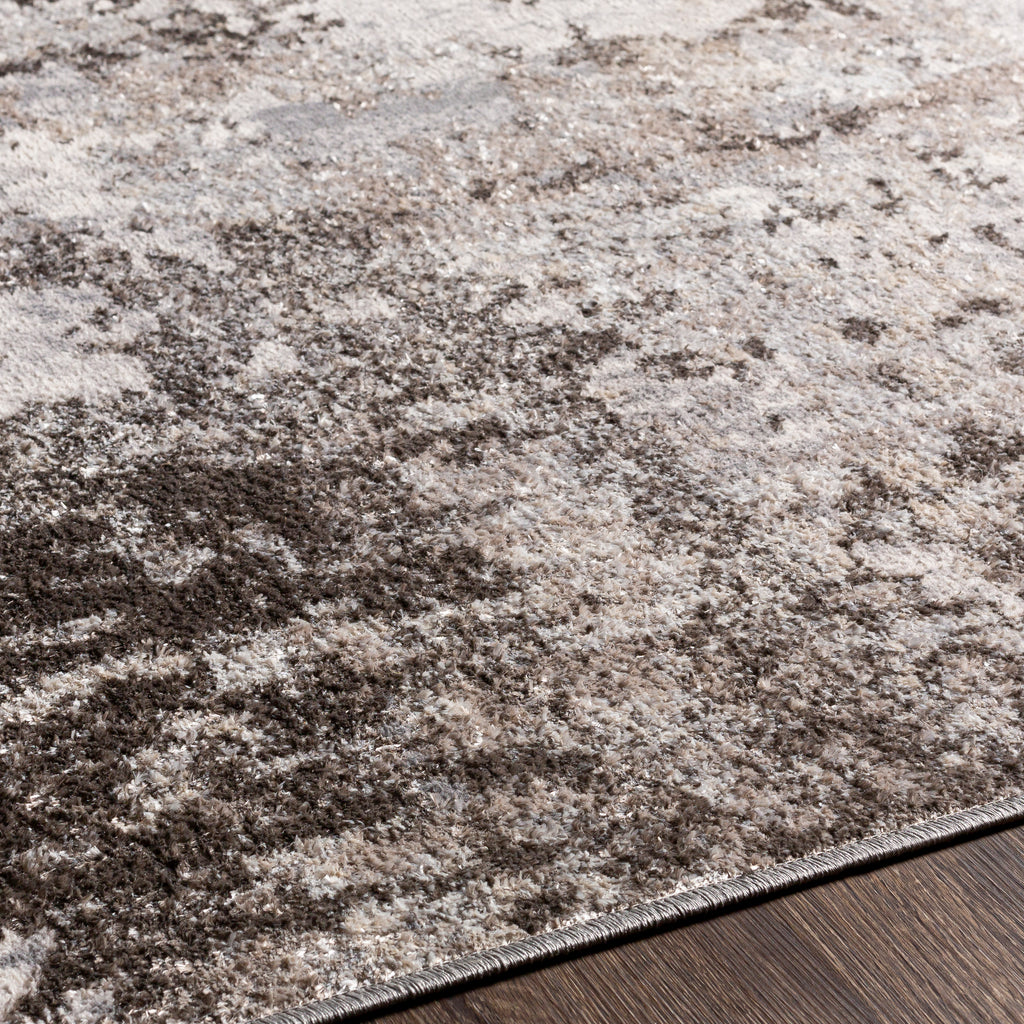 surya firenze fze 2303 light gray rug