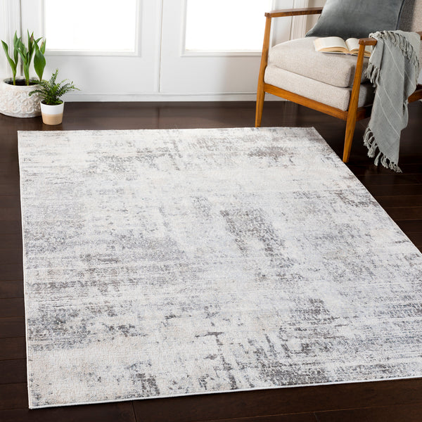 Surya Rug Co. Genesis Silver Gray Rug | Indoor Rugs | Rugs Done Right 