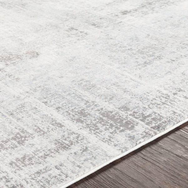 Surya Rug Co. Genesis Silver Gray Rug | Silver Gray Rugs | Rugs Done Right 