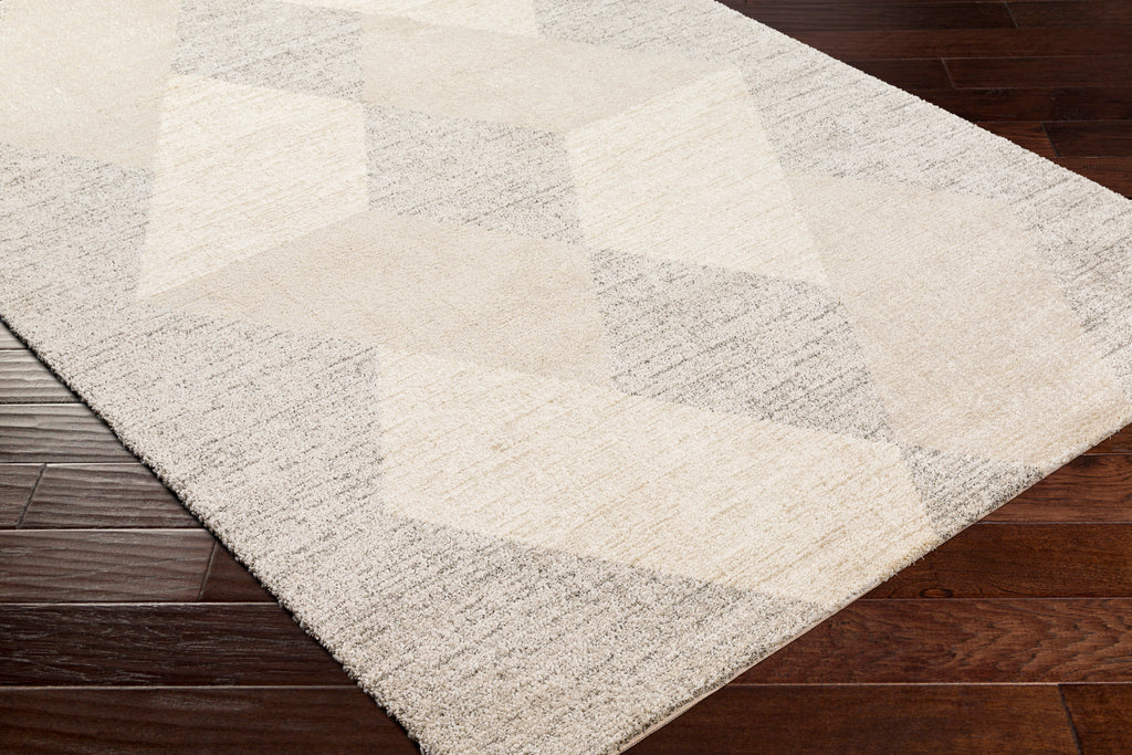 surya gavic gvc 2316 taupe rug