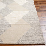 surya gavic gvc 2316 taupe rug
