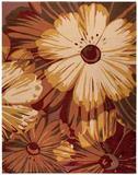 Nourison Clearance Fantasy FA-19 Cayenne Rug
