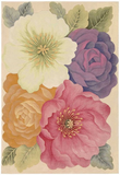 Nourison Tropics TS10 Multi Rug