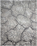 Nourison Divine DiV01 Charcoal Rug