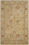 Safavieh Clearance Antiquities AT859B Taupe Rug