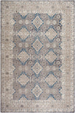 Safavieh Clearance Sophia SOF366B Light Grey Rug