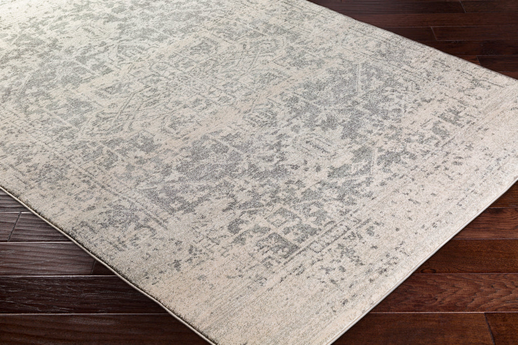 Livabliss Harput HAP-1024 Taupe Rug