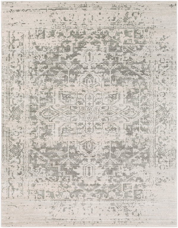 Livabliss Harput HAP-1024 Taupe Rug