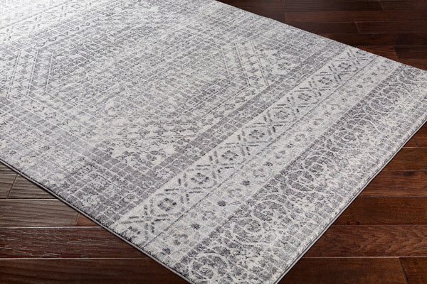 Surya Closeout Harput HAP-1080 Light Gray Rug