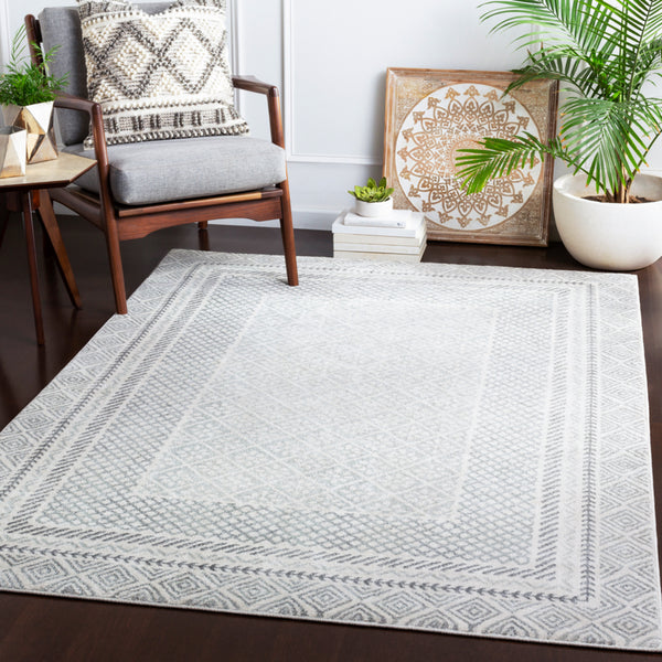 Surya Closeout Harput HAP-1088 Charcoal Rug