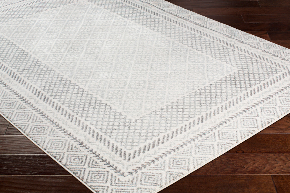 Surya Closeout Harput HAP-1088 Charcoal Rug