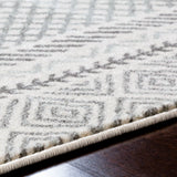 Surya Closeout Harput HAP-1088 Charcoal Rug