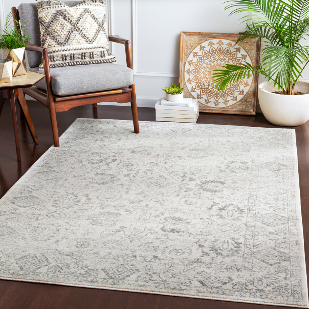 Surya Closeout Harput HAP-1091 Charcoal Rug