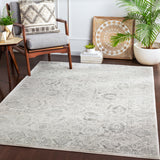 Surya Closeout Harput HAP-1091 Charcoal Rug