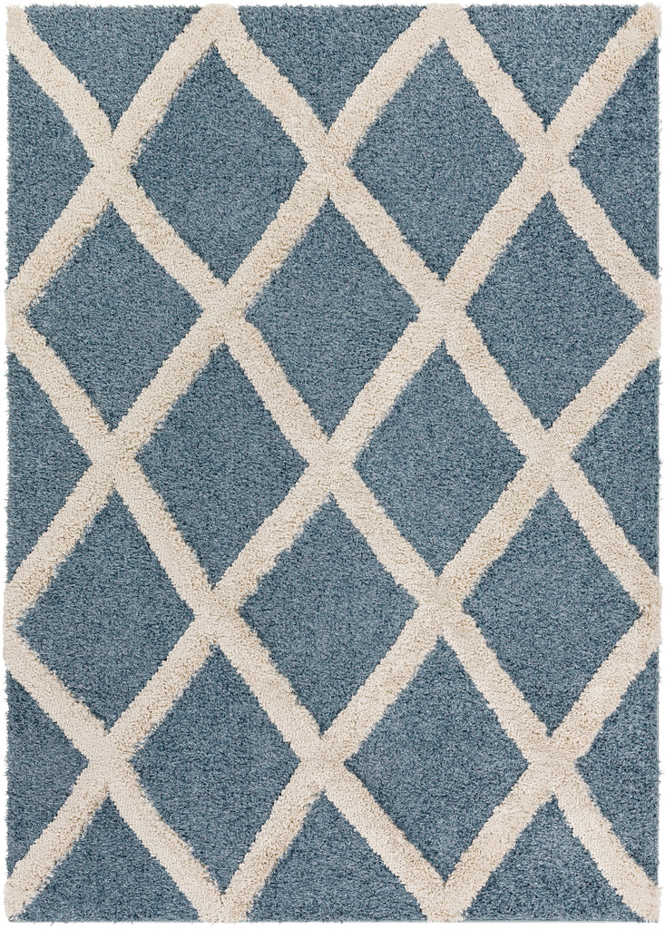 surya hudson shag hds 2301 blue rug