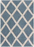 surya hudson shag hds 2301 blue rug