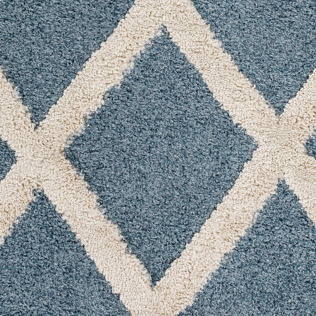 surya hudson shag hds 2301 blue rug