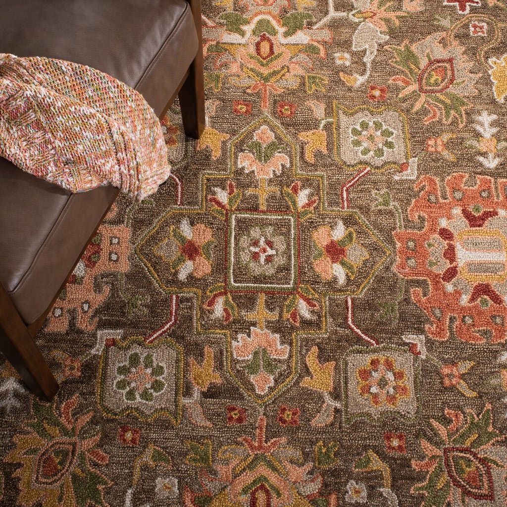 safavieh clearance heritage hg748t brown rug
