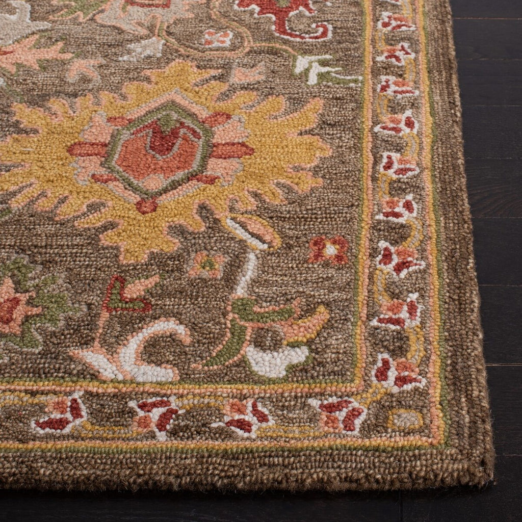 safavieh clearance heritage hg748t brown rug