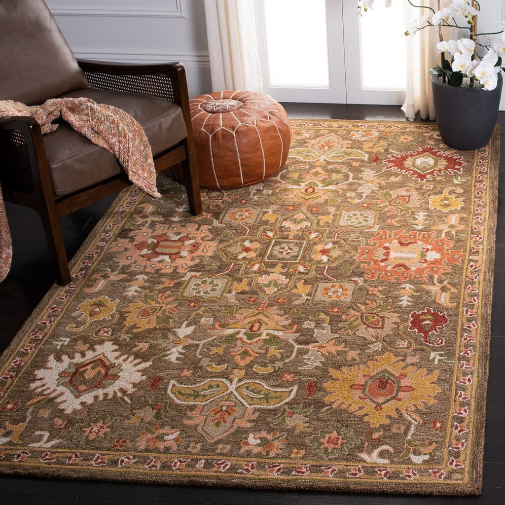 safavieh clearance heritage hg748t brown rug