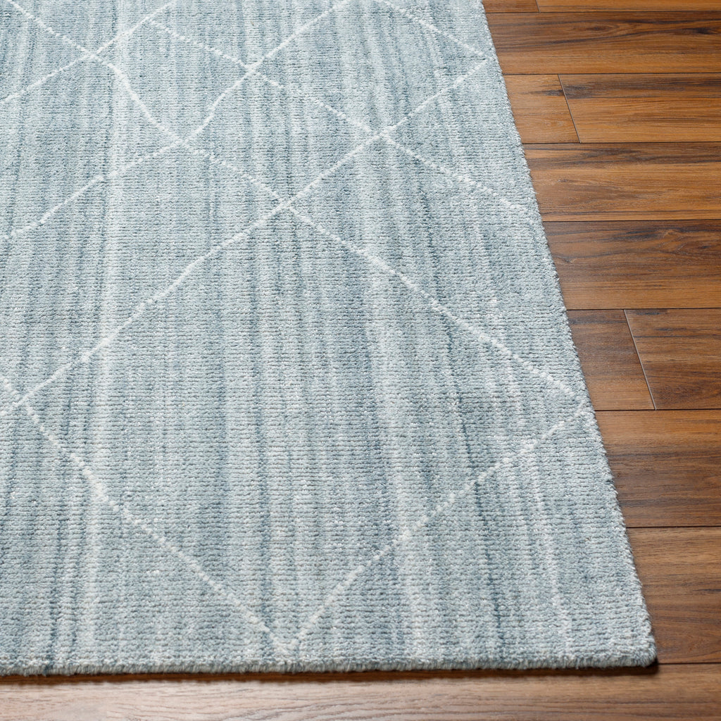 surya highland hhd 2302 rug
