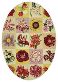 safavieh clearance chelsea hk235a ivory rug