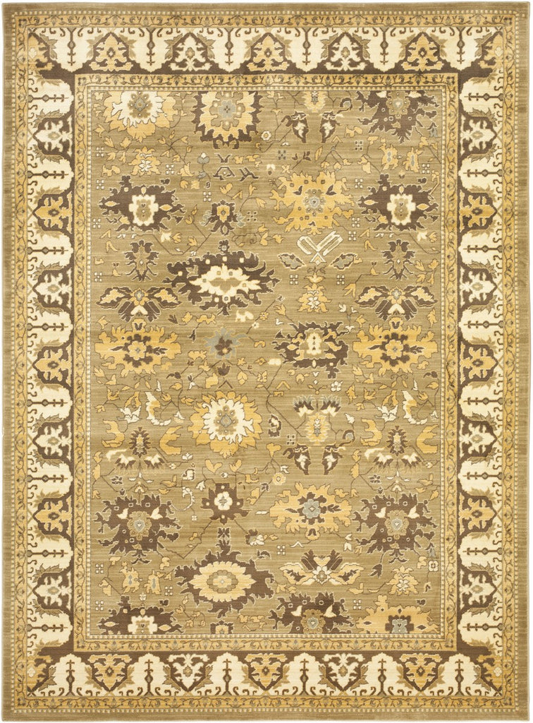 safavieh clearance heirloom hlm1741 5225 green rug