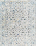 surya hassler hsl 2302 rug