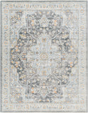 surya hassler hsl 2305 rug