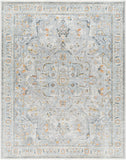 surya hassler hsl 2306 rug