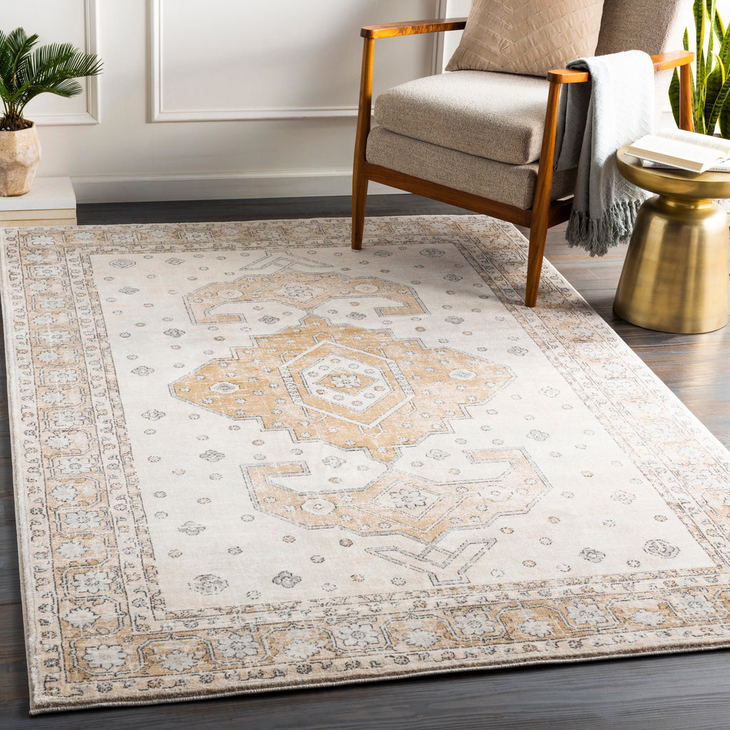 surya indigo igo 2321 tan rug