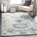 Surya Indigo Denim Rug | Indoor Rugs | Rugs Done Right 