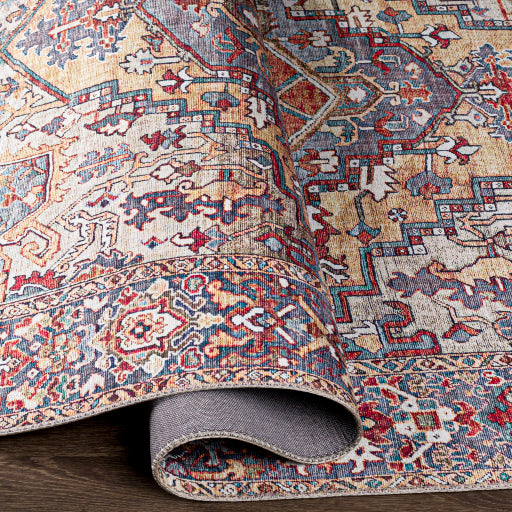 surya iris irs 2358 burnt orange rug