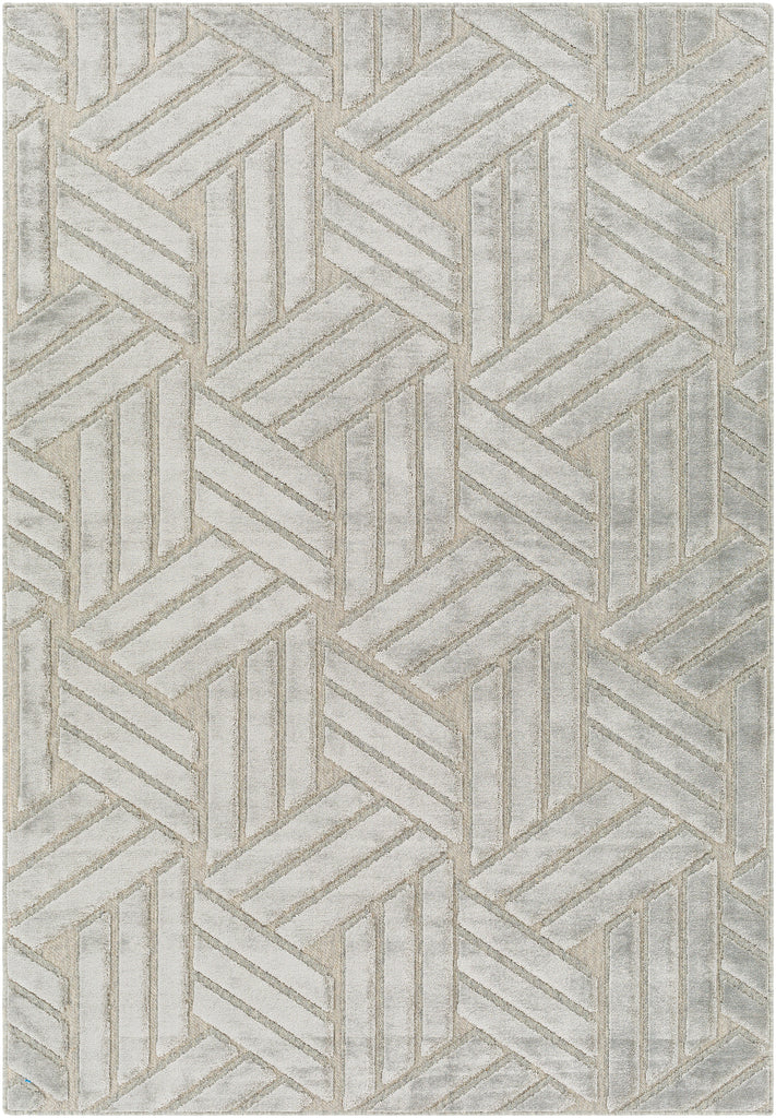 surya kingston kgs 2303 taupe rug