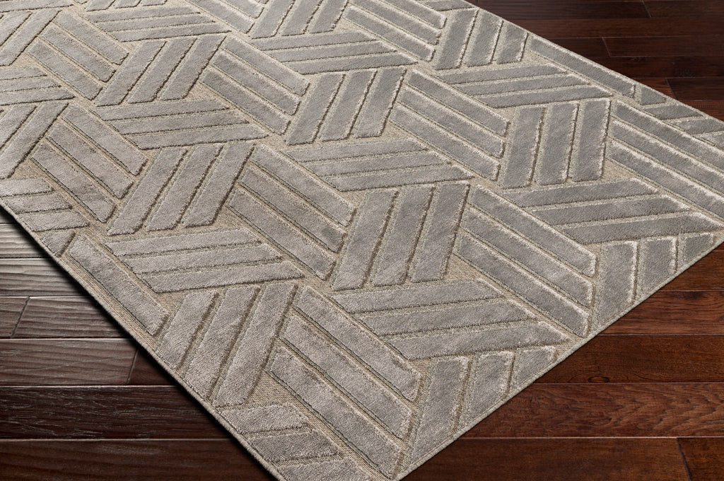 surya kingston kgs 2303 taupe rug