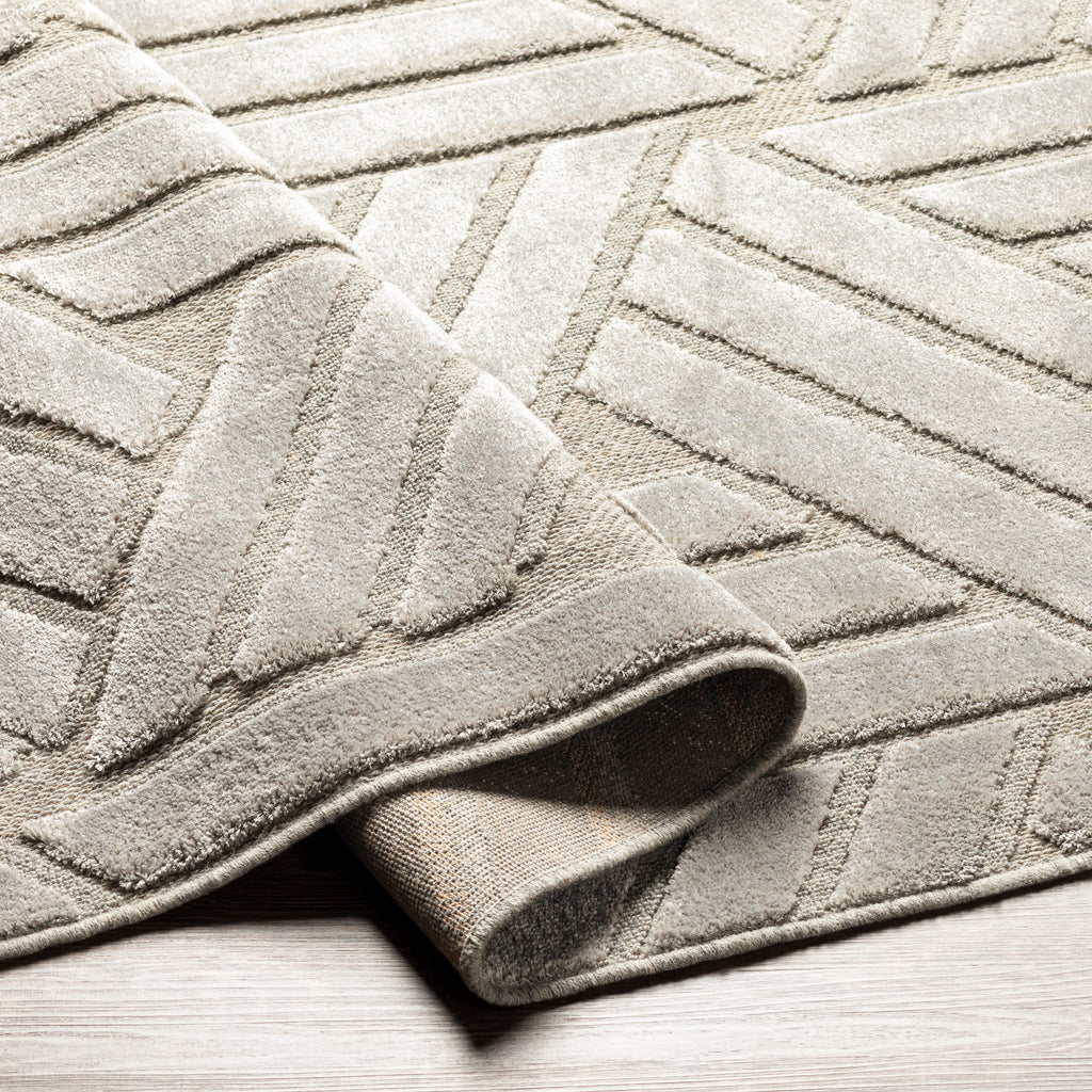surya kingston kgs 2303 taupe rug