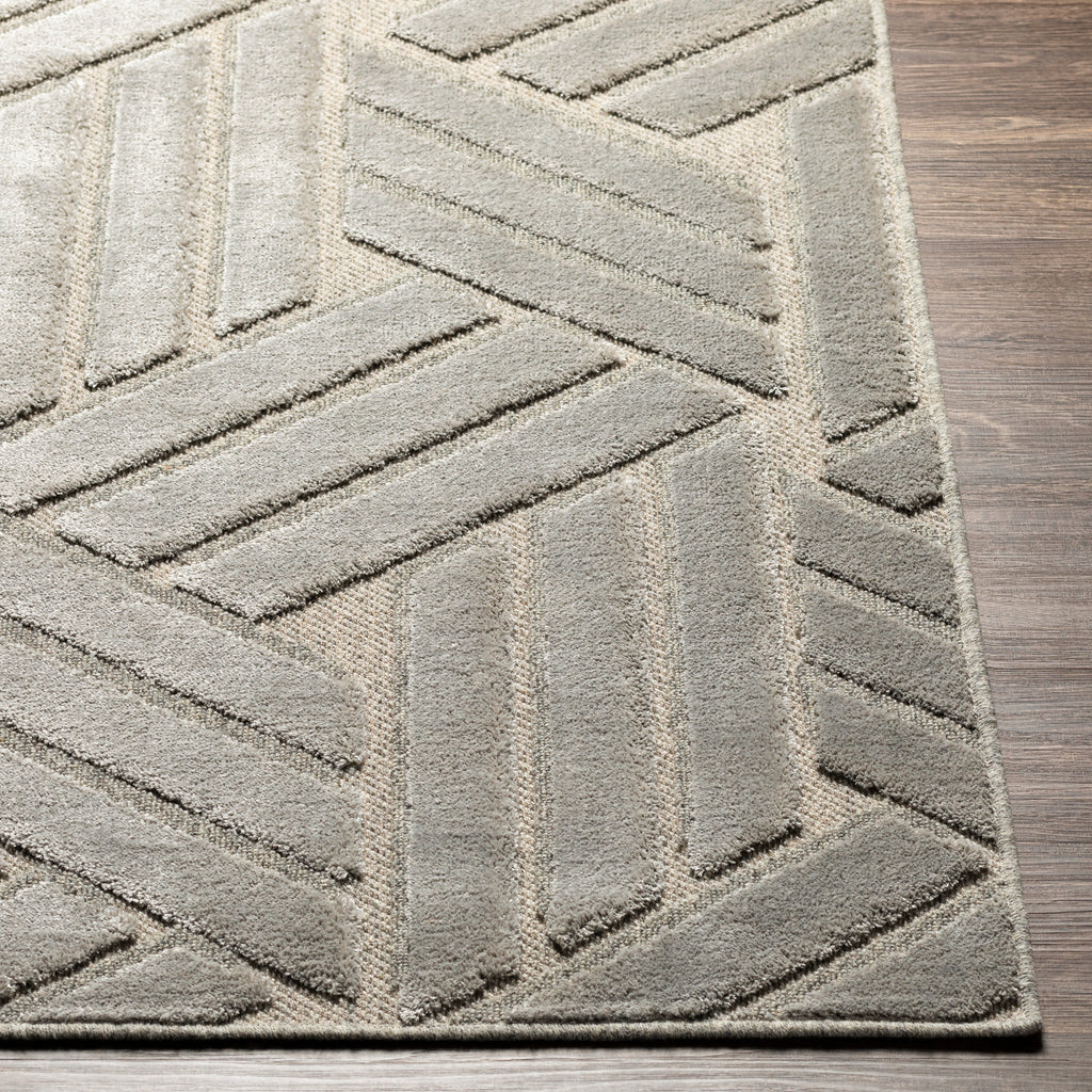 surya kingston kgs 2303 taupe rug