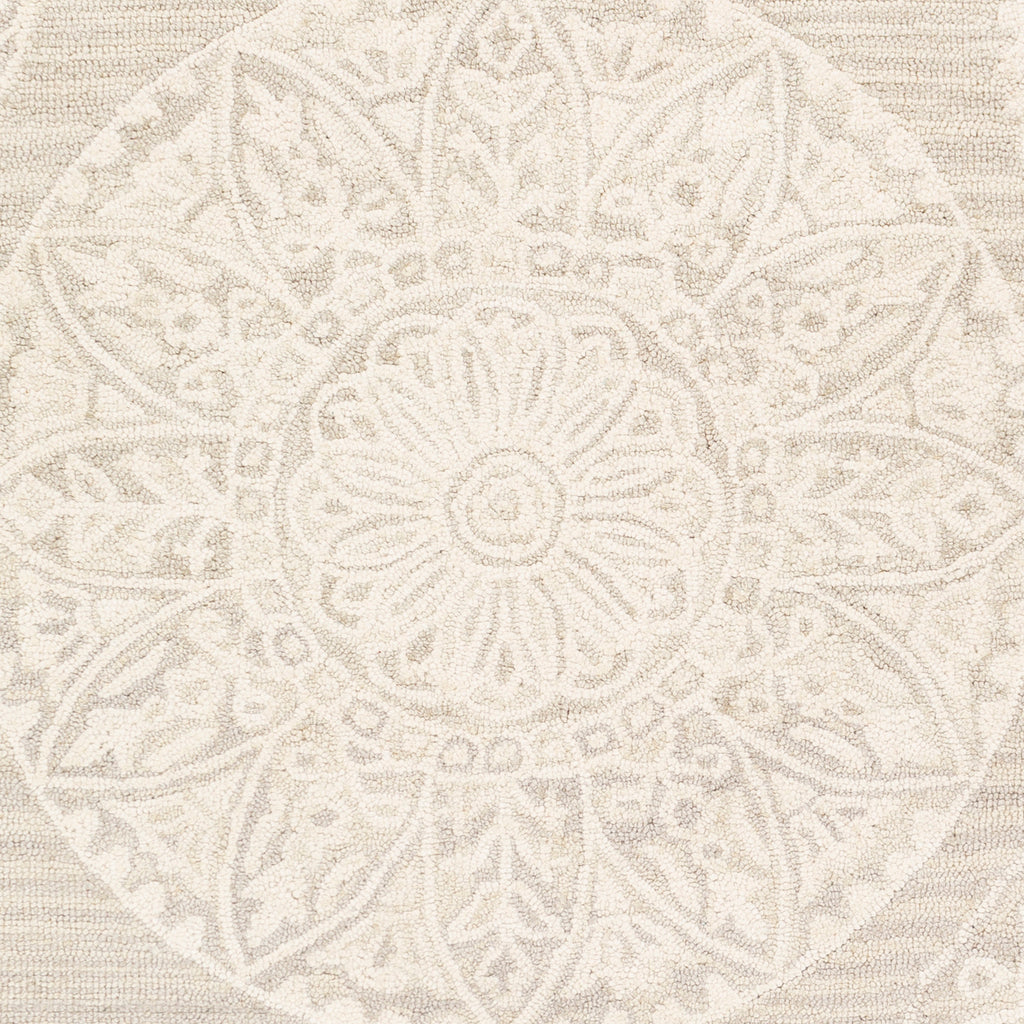 surya kayseri ksr 2301 taupe rug