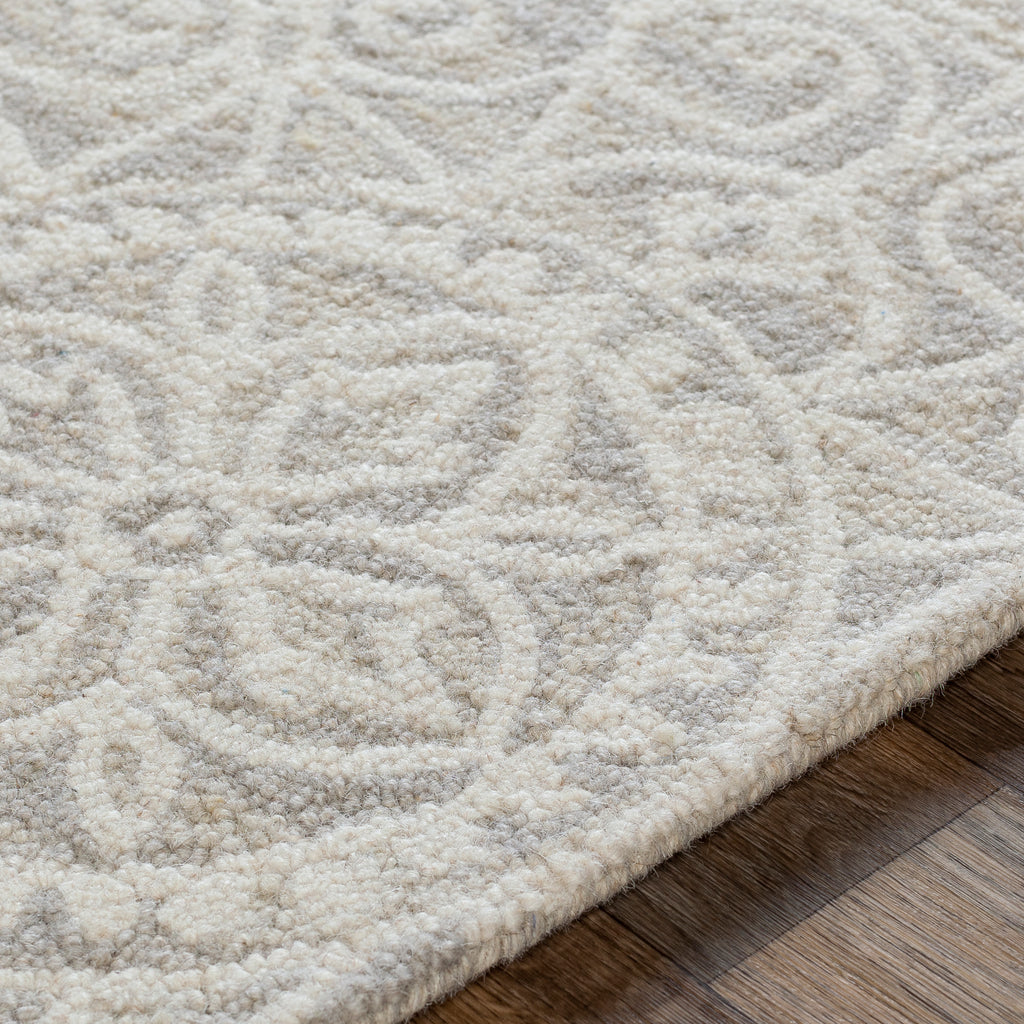 surya kayseri ksr 2301 taupe rug